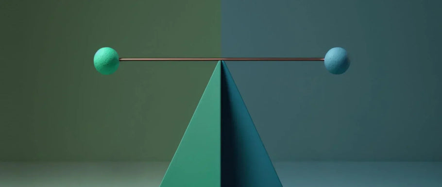 有限责任公司与S型公司：如何选择？